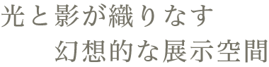 光と影が織りなす幻想的な展示空間